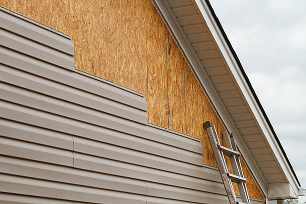 Professional Siding Repair technician working in Waynesboro, VA